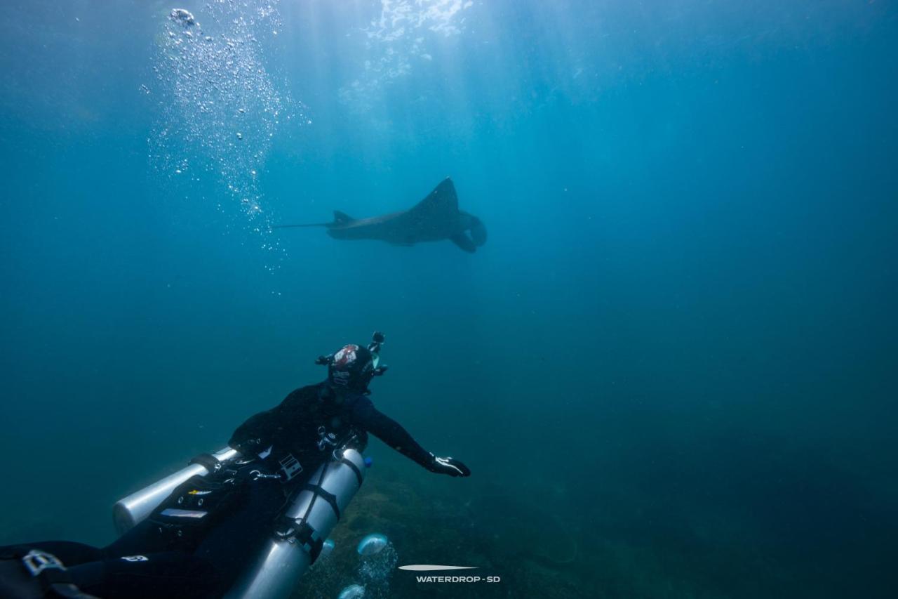 Jukung Dive Resort Bali Penida Batununggul Eksteriør bilde